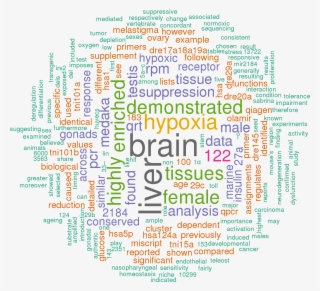 Stem Loop Sequence Ola Let 7a