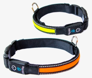 Collar Para Perros Led Tractive