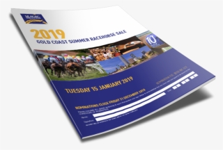 ← 2019 Gold Coast Summer Racehorse Sale