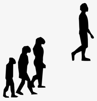 Evolution Clip Art At Clker