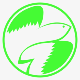 Flying Fish Png