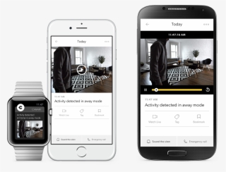 Try Canary Today