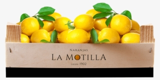 Lemons
