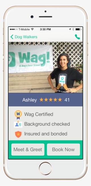 Let's You Schedule A Walker For You Dog And Then You