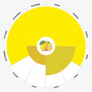 Calendario Producción Limon Bio