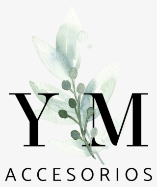 Accesorios Png