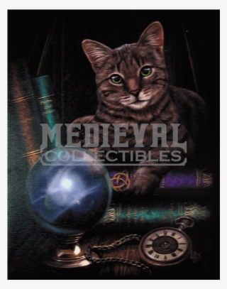 Fortune Teller Art Print