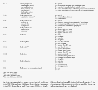 Details Of Mesoplodon Tusk Coding Options