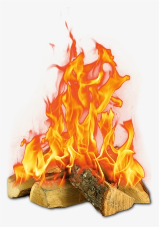 C - M - Firewood
