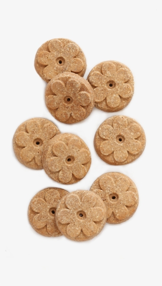 Earthborn Holistic® Lamb Meal Recipe Biscuits