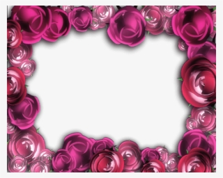 Free Png Best Stock Photos Transparent Pink Roses Frame