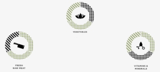 Banner Nutrition Icons Website