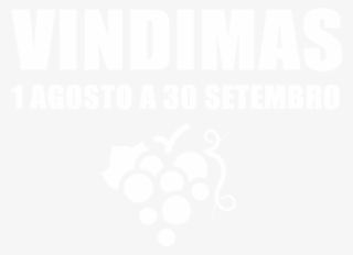 Banner 01 1