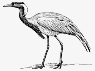 Heron Clipart Black And White