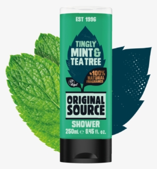 Mint & Tea Tree