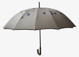 Se Trata De Una Enredadera De Rosas