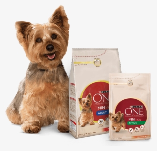 Yorkshire Terrier Y Productos Purina One Mini