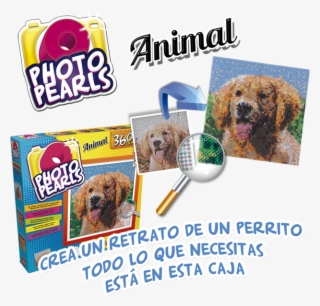 Perritos Png