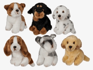 Perritos Png