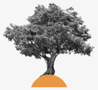 A Culture Bearing Values And Pillars On Which The Organisation