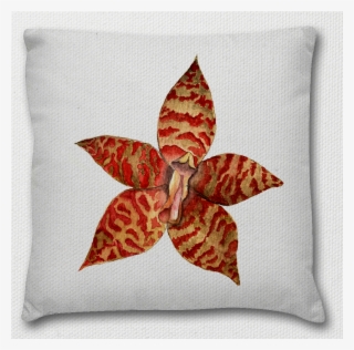 Almofada Mockup Orquidea