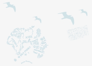 Gaviotas Png