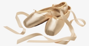 Ballerina Detective And The Missing Jeweled Tiara [book]