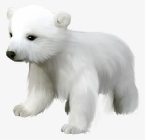 Cute Small Polar Bear Png Clipart - Cute Polar Bear Transparent