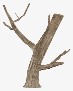 Image Dead Tree Log Picture Library - Dead Tree Log