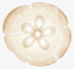Jpg Transparent Sanddollar Png Paper Sets Pinterest - Sand Dollar Clipart