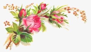 Peach Flower Rose Clip Art - Transparent Background Png Flowers