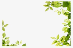 Green Background Png Transparent Image - Leaves Frame Png