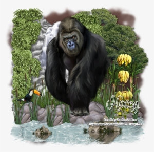 Kong By Honey1706 On Deviantart - Zazzle Gorilla Barely There Iphone 6 Plus Hülle