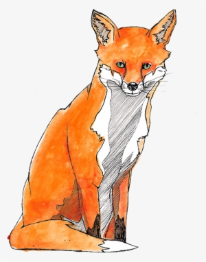 Watercolor Painting Red Fox - Watercolor Painting