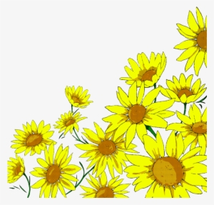 Sunflower Watercolor Png Banner Black And White - Vector Graphics