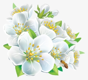 Large White Flowers Png Clipart