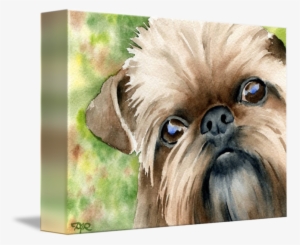 "brussels Griffon" By David Rogers, Fresno // - Griffon Bruxellois