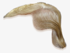 Donald Trumo Hair Transparent