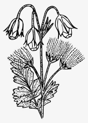 This Free Icons Png Design Of Prairie Smoke