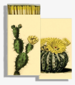 Matches - Homart Cacti Match Boxes With Wooden Matches (set Of