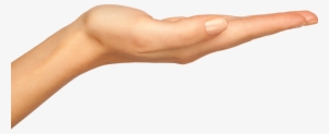 Hand Transparent