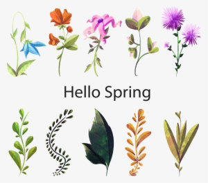 Floral Design Watercolor Painting Flower Plant - Flower