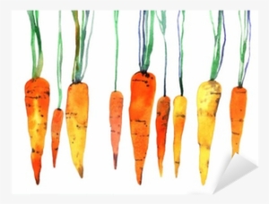 Carrot Watercolor