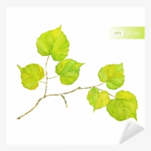 Vector Watercolor Leaf - 잎사귀 수채화