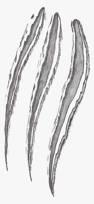 Claw Scratches Png File - Cats Scratch Clip Art