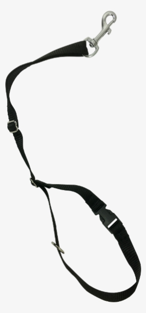 Thumbnail 1 - Png Dog With Rope