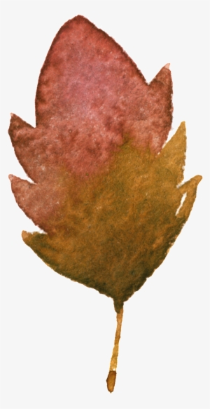 This Graphics Is Withered Yellow Maple Leaf Transparent - Leaf