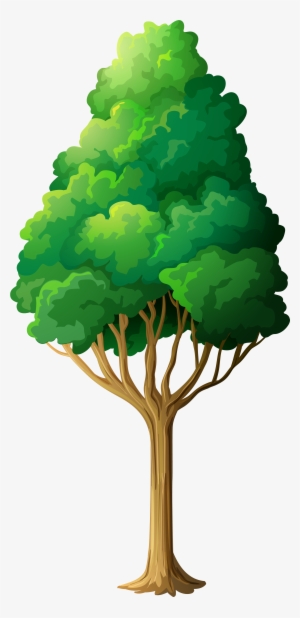 Clip Art Trees Png