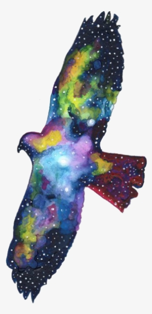 •transparent• Shared By Très Cool On We Heart It - Red Tail Hawk Watercolor