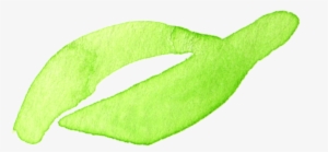 [showmyads] - Flatworm